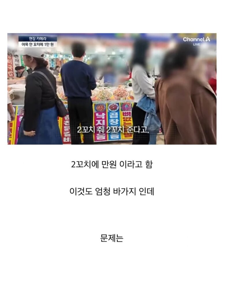 국내 지역축제가 대부분 망하는 이유 (8)
