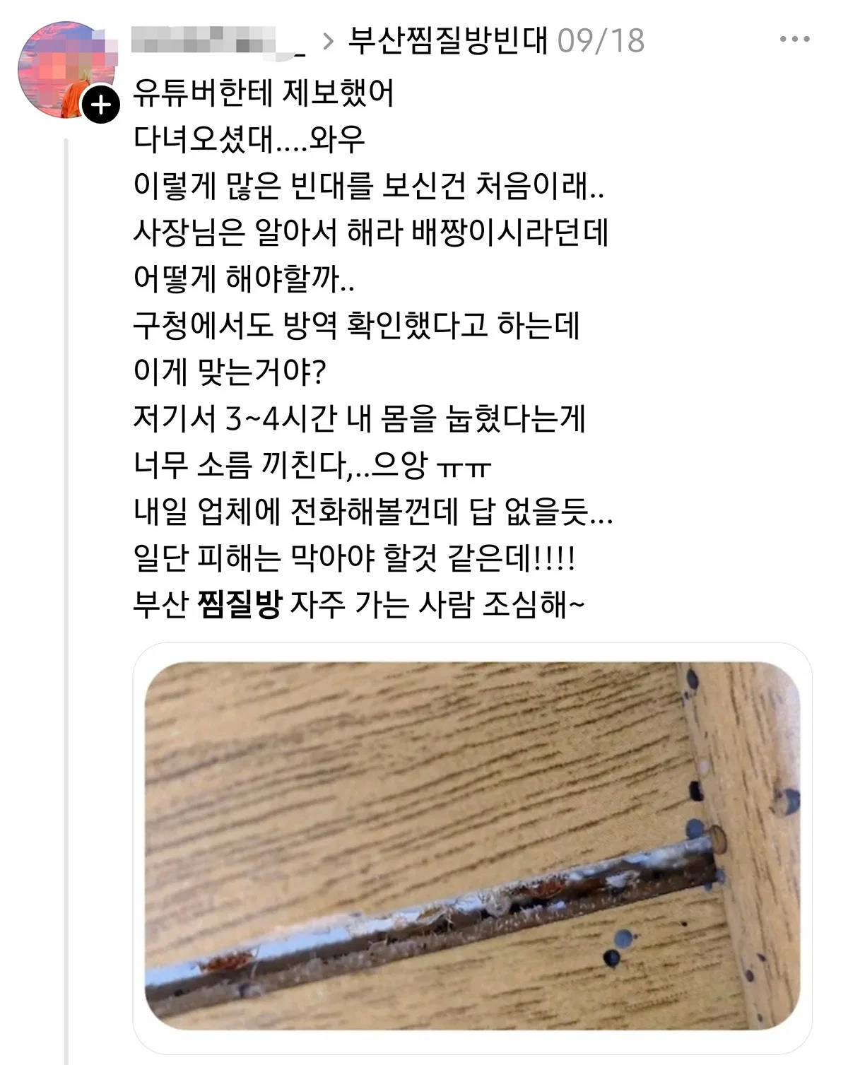 부산 찜질방 빈대 이슈 업로드한 유튜버 다흑... (38)