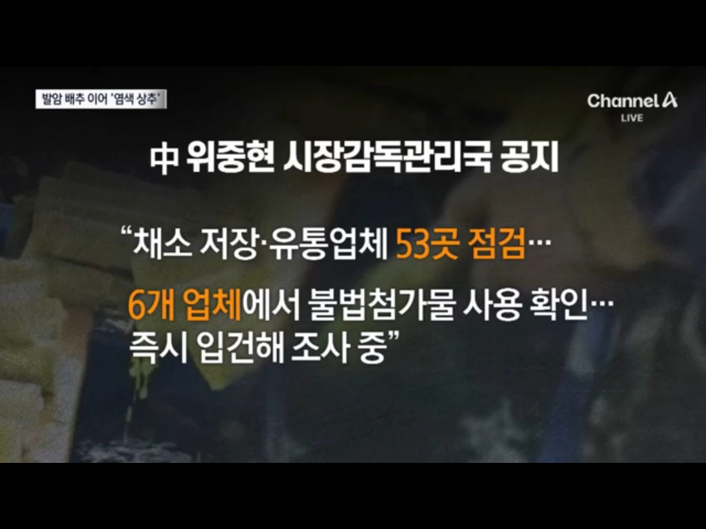 배추에 이어 염색상추 ㄷ ㄷ (5)