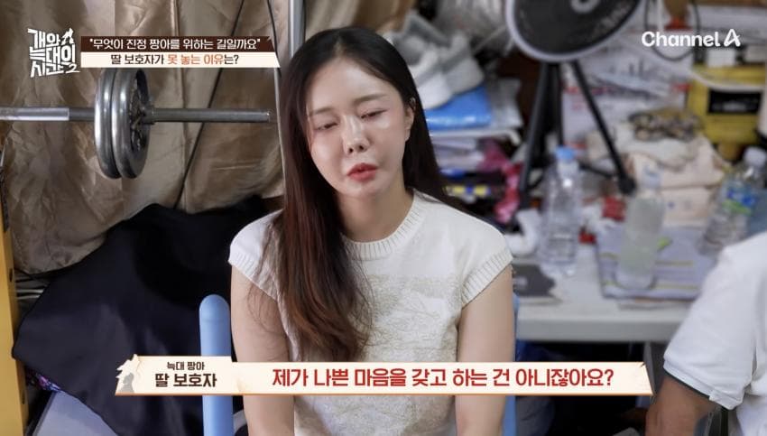싱글벙글 반려견이 스트레스 받는데도 방송 촬영은 멈출 수 없다는 보호자 (38)