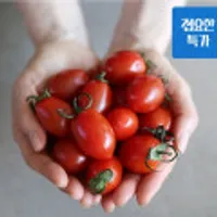 대추방울토마토, 라인바싸, 자포니카 민물장어