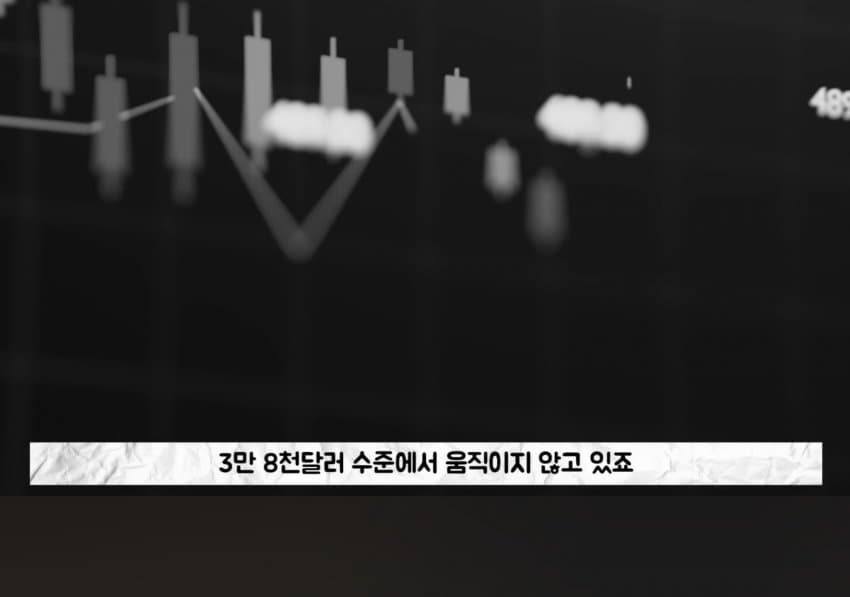 기술이 없어 처참하게 몰락한 일본 근황 (20)