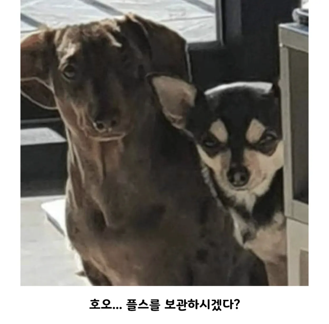 게임기를 숨기려고 하는 이유 (3)