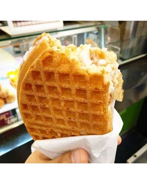 반박 불가 한국의 근본 와플 (7)