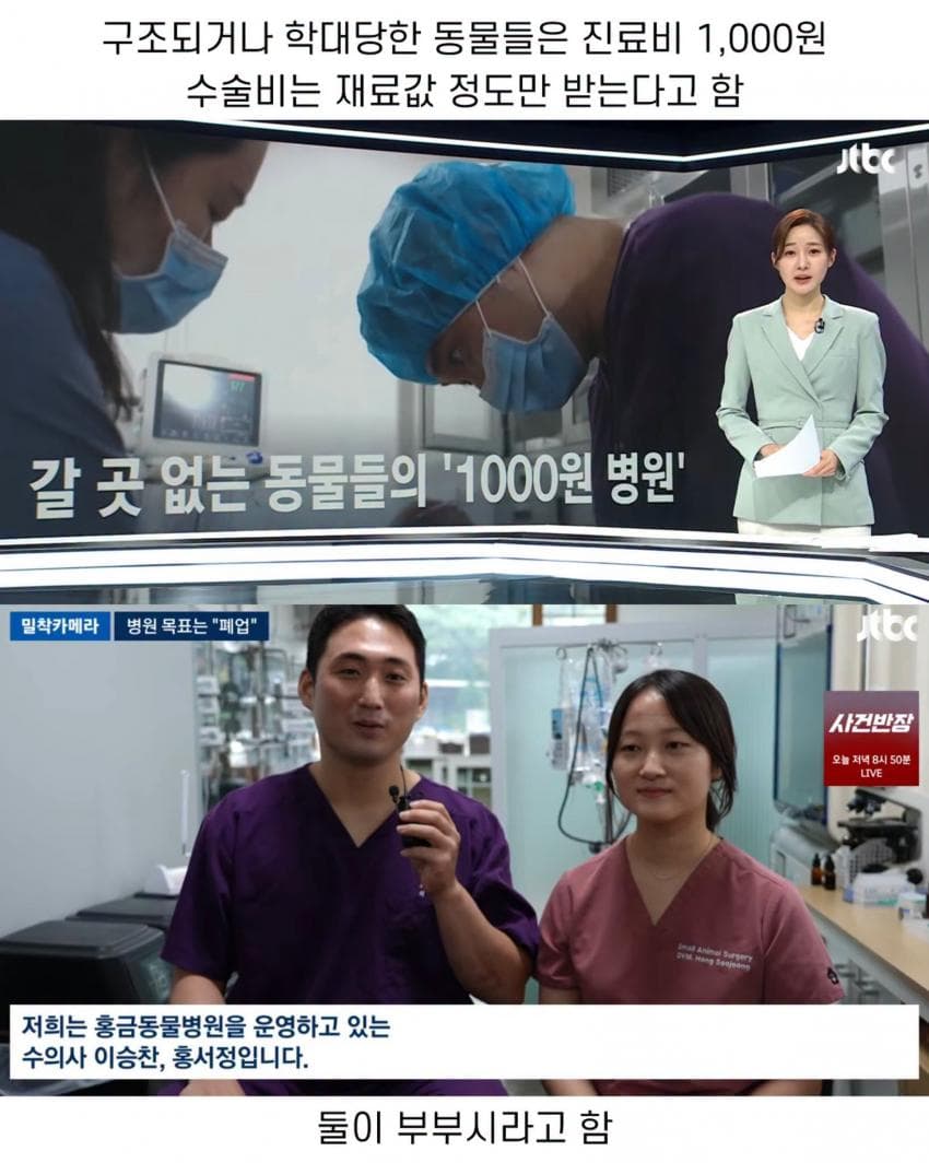 진료비 천 원이라는 동물병원