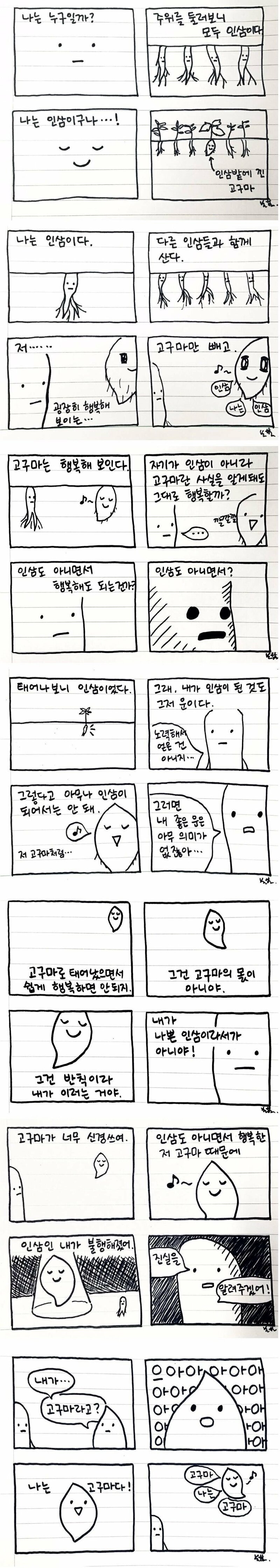 인삼밭에 낀 고구마