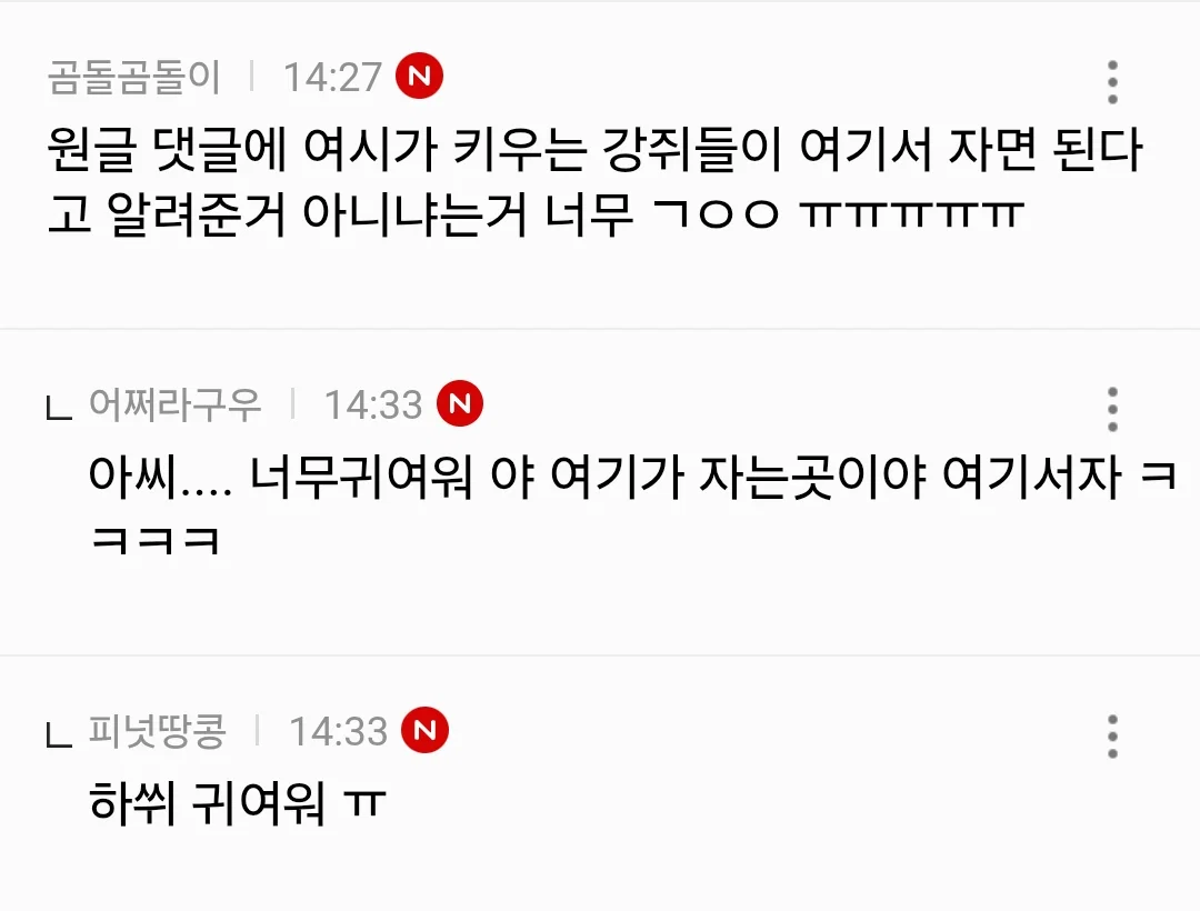 어제 친구가 강아지 두 마리 맡겼거든 (2)