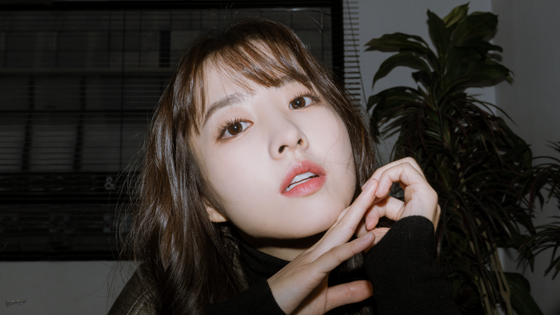 콩이 엄청난 음식인 이유