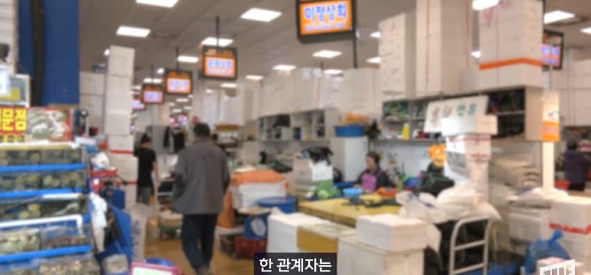 한강 필승 조합이 바꺘다, 회크닉 인기. (32)