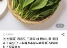 강원도 고랭지 생 명이나물 1kg