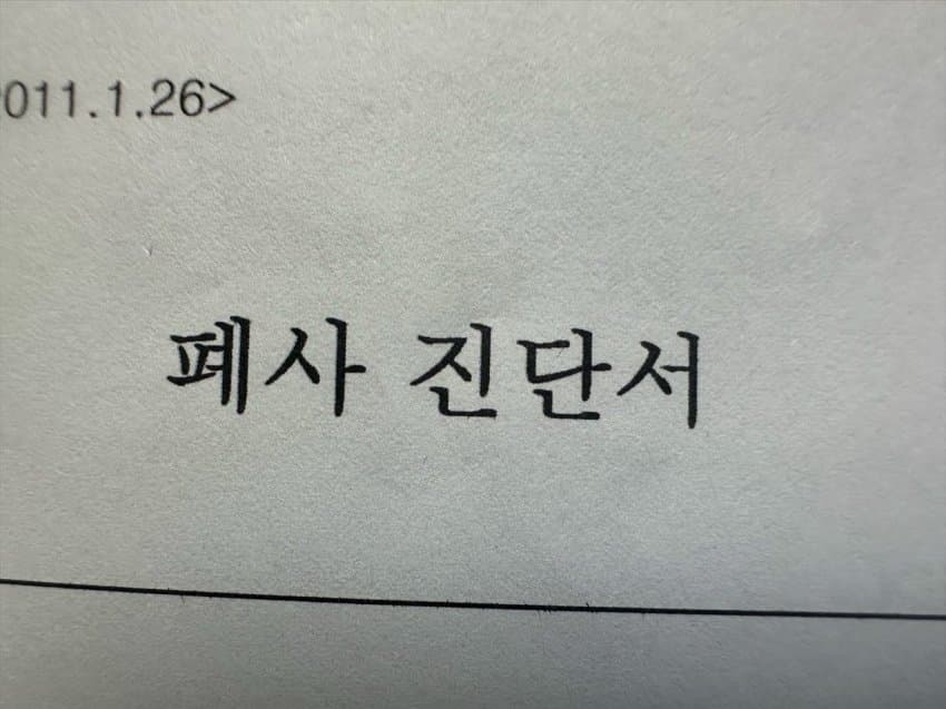 안싱글벙글 개물림 사고(강아지사망) 당했습니다 (15)