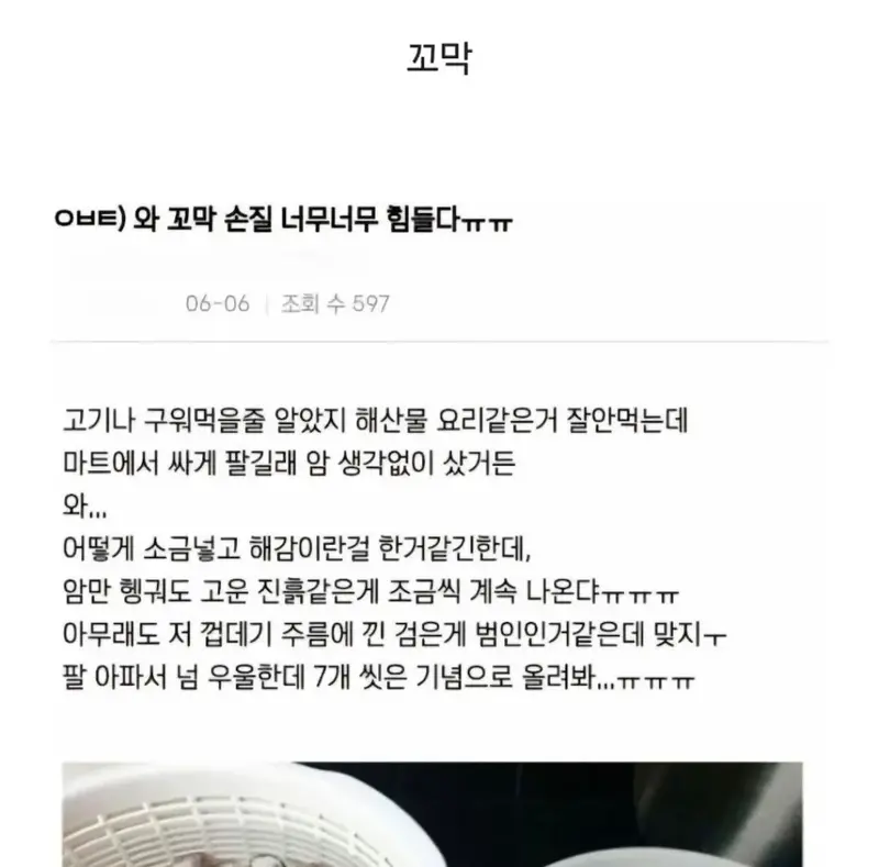 의도치 않은 해산물 손질의 달인