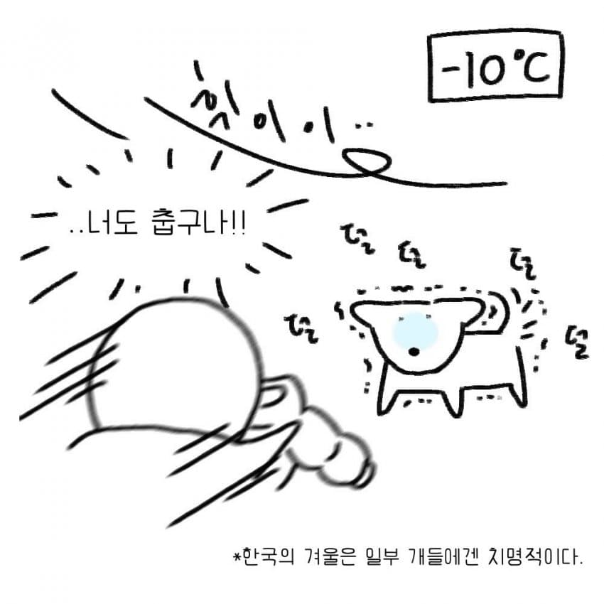 싱글벙글 강아지를 키우기 전 했던 생각.manhwa (2)