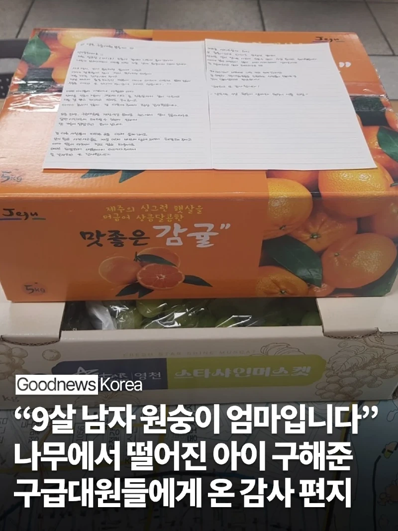 9살 남자 원숭이 엄마입니다