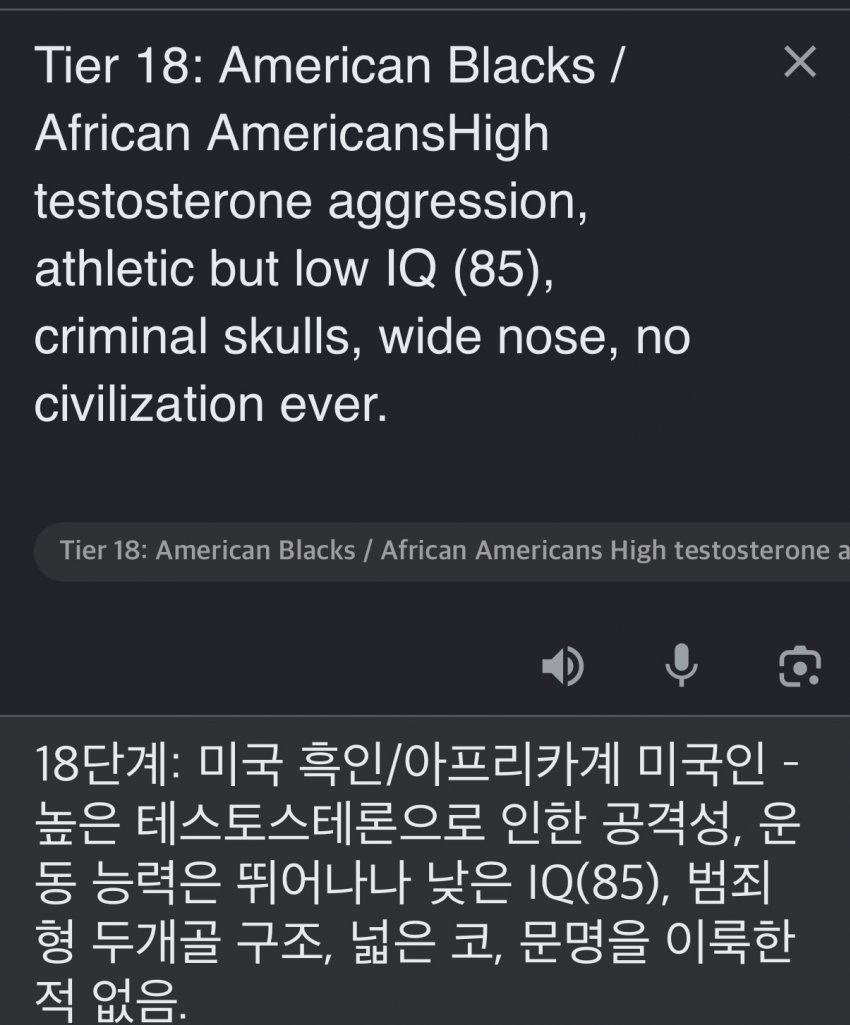 서양 커뮤에서 만든 인종 순위 20단계 (9)
