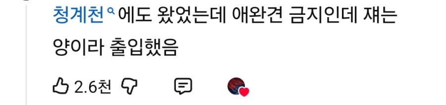서울은 문화 생활 클라스가 다르네