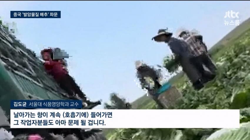 중국 배추 시신 보존제 발암물질 범벅…한국'중국산 김치'수입량 역대 최대 (17)