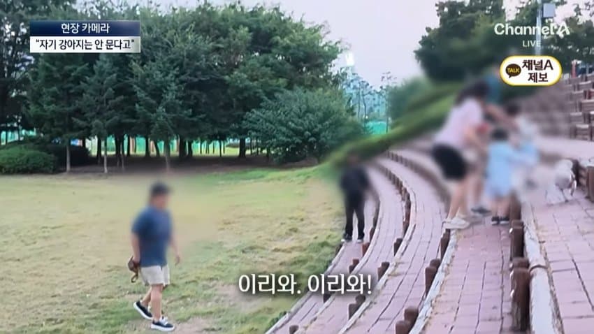 채널a) 단속원 퇴근하자...공원이 '개판' (32)