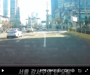 역주행 해놓고 적반하장 화내는 빌런