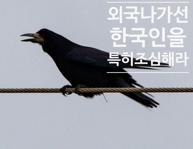 한국인이 외국나가면 제일 조심해야되는 사람. (3)