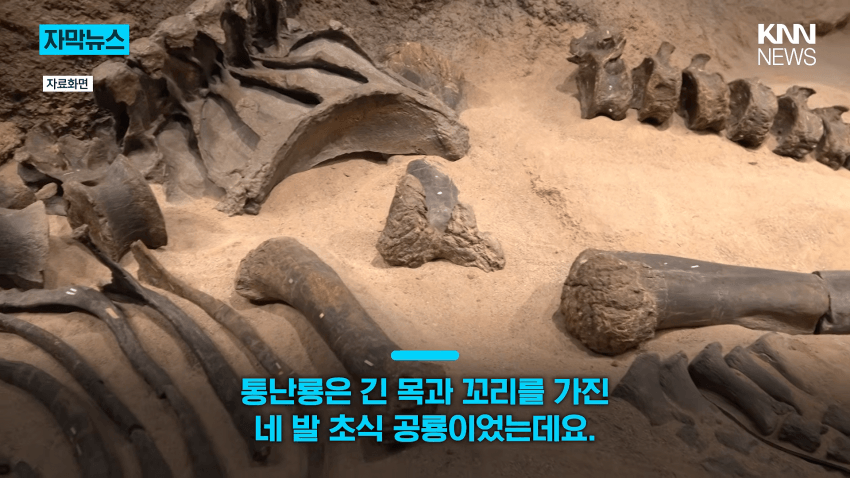공사장에서 1억 년 전 초대형 공룡 발견 (9)