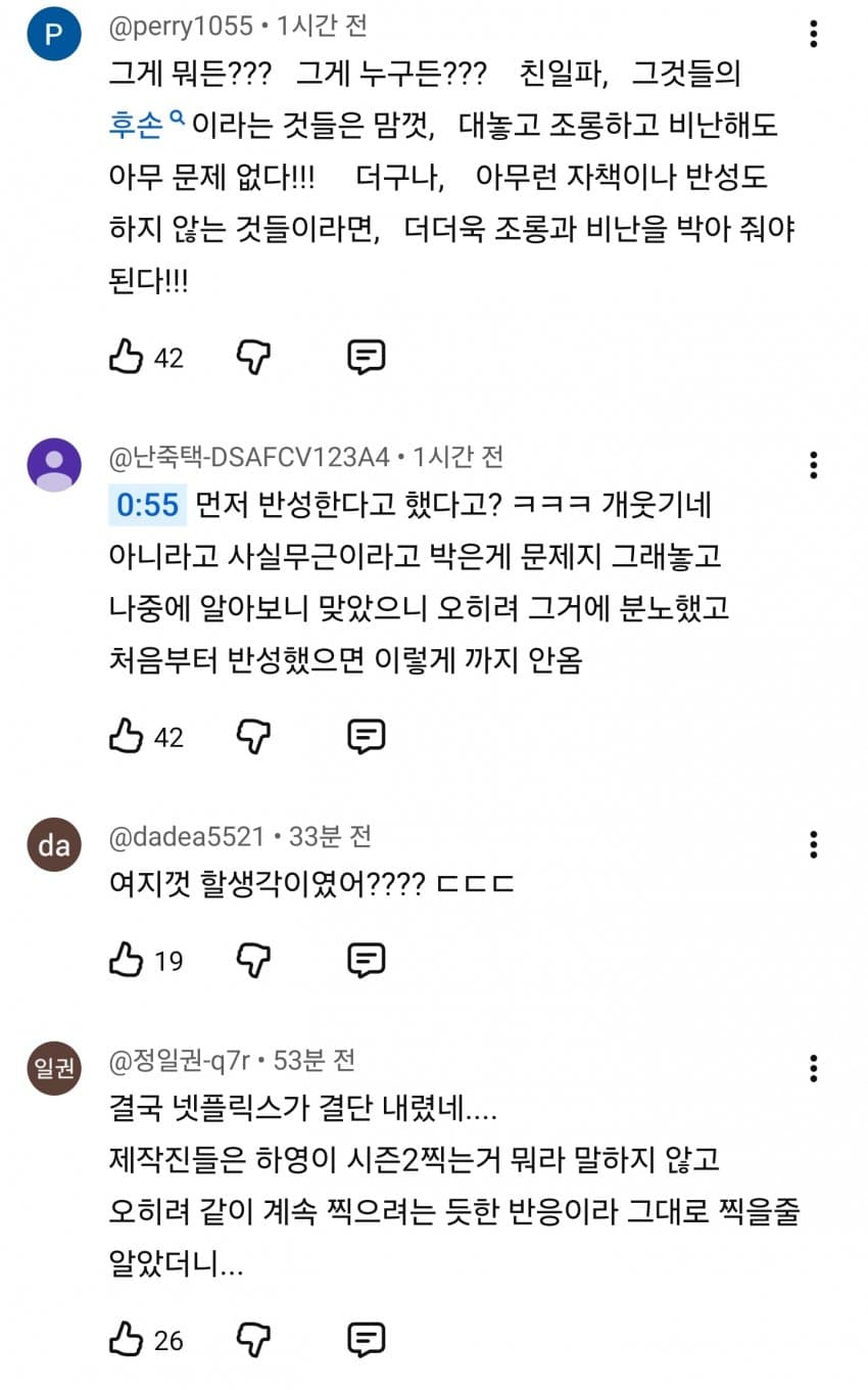 하영, 친일 의혹 여파로 넷플릭스 새 시즌 하차 (22)
