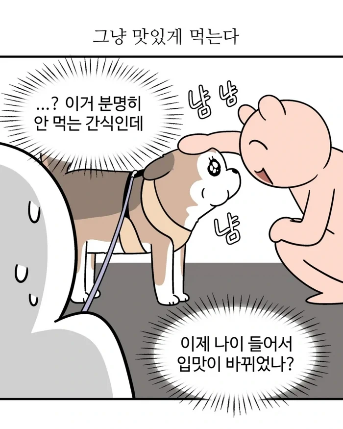 Insta] K-예절 강아지.toon