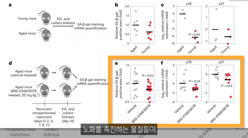 OPEN AI 바이오 혁신현황 (8)