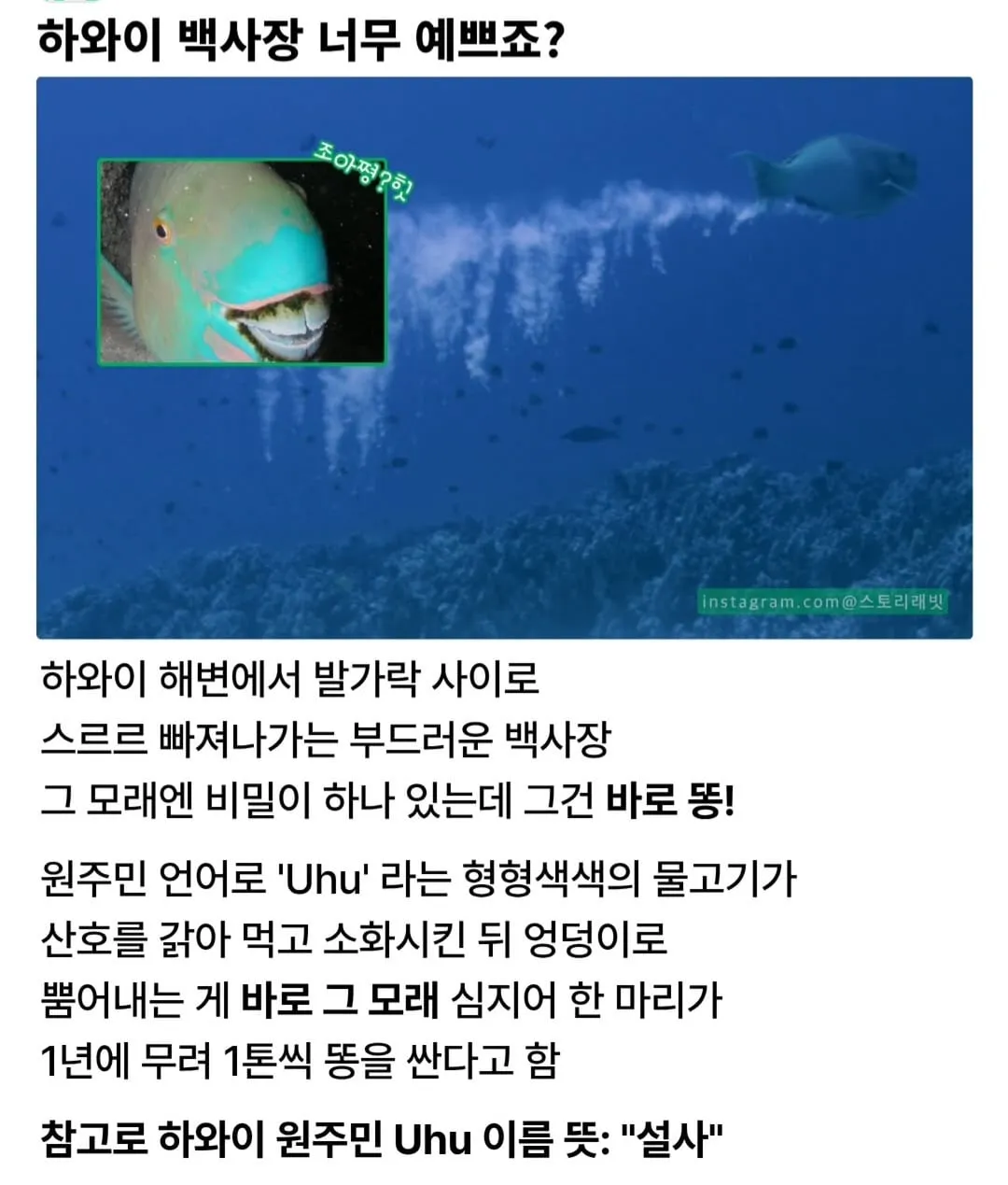 하와이 백사장의 비밀.jpg