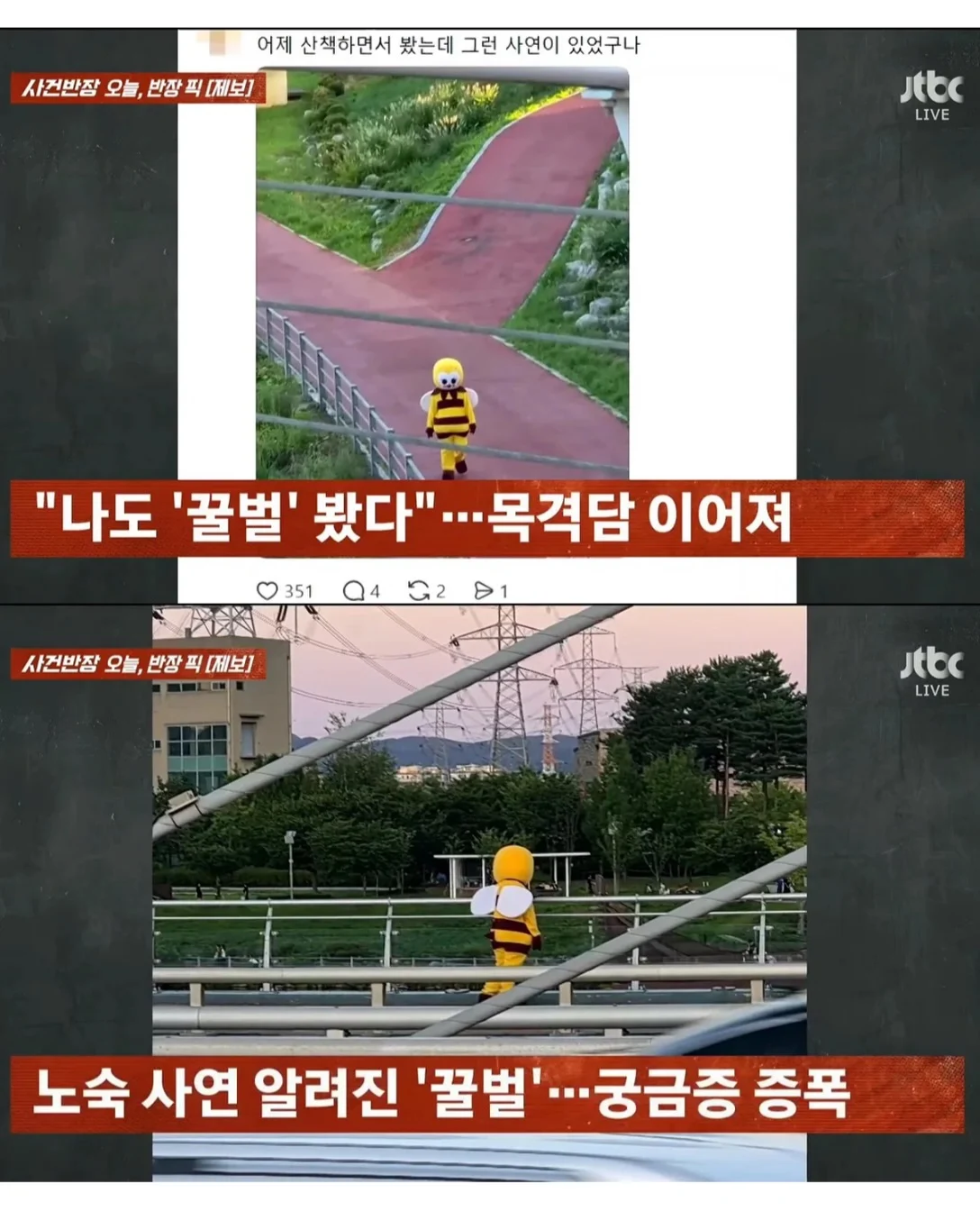 JTBC 사건반장 촬영 싫다는 꿀벌 인형탈 억지로 찍어 내보냄