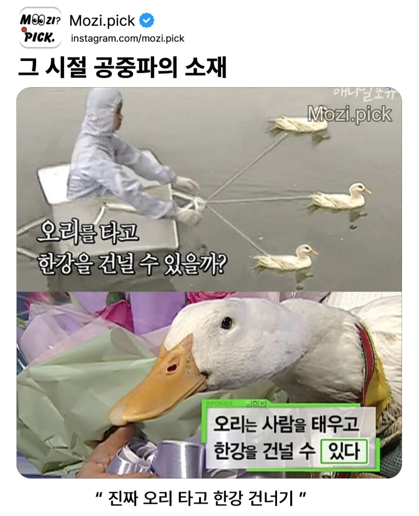 그 시절 공중파의 소재