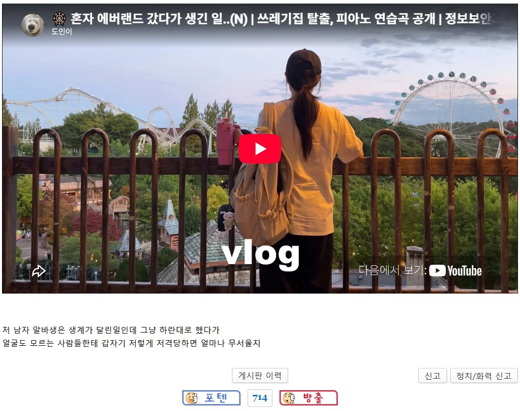 '여자 혼자 놀이기구 탔더니 생긴 일' 피해자 2차가해중인 남초 (12)