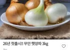 무안 햇양파 3kg