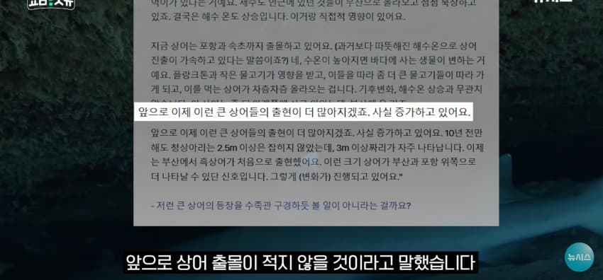 상어 한마리에 3만명 몰려, 부산 명소가 된 북항 (38)