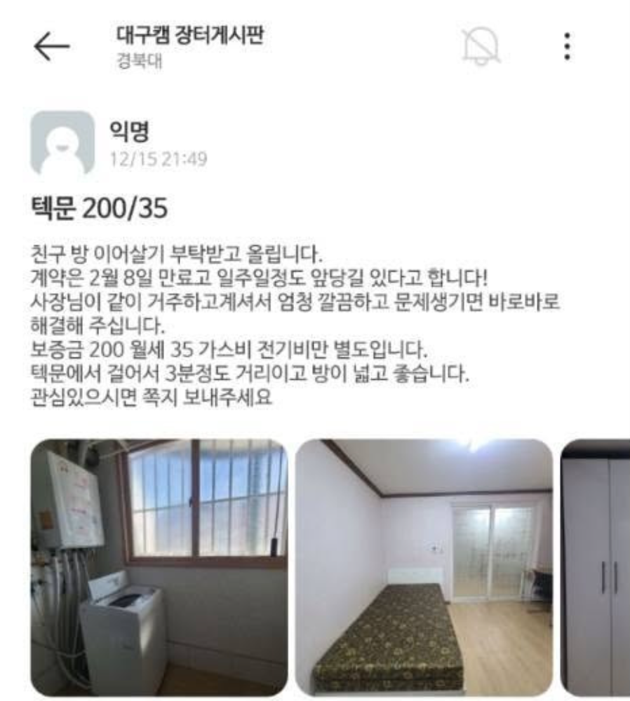 경북대학교 코난 등장