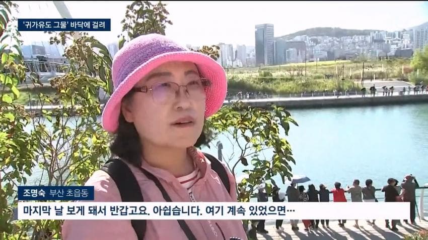 상어 부캉이 구조작업 또 실패…바다 앞서 멈췄다 (5)