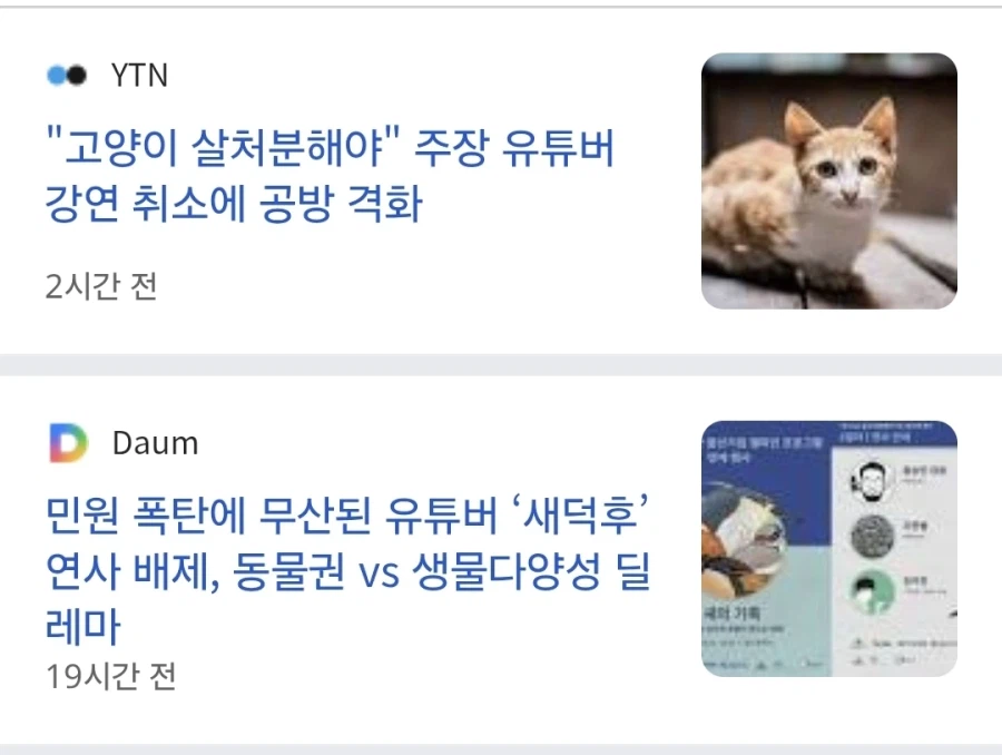 길고양이 보호 민원에 새덕후 유튜버 강연 취소