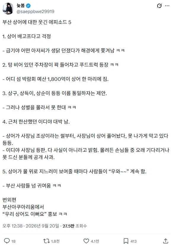 상어로 시끌시끌한 부산 상황 요약