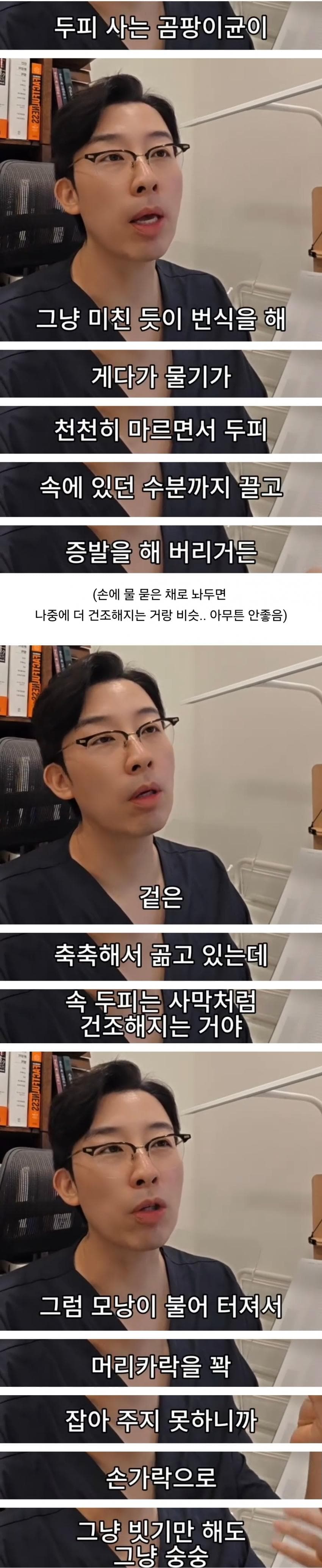 머리 감고 잘 말려야하는 이유 (2)