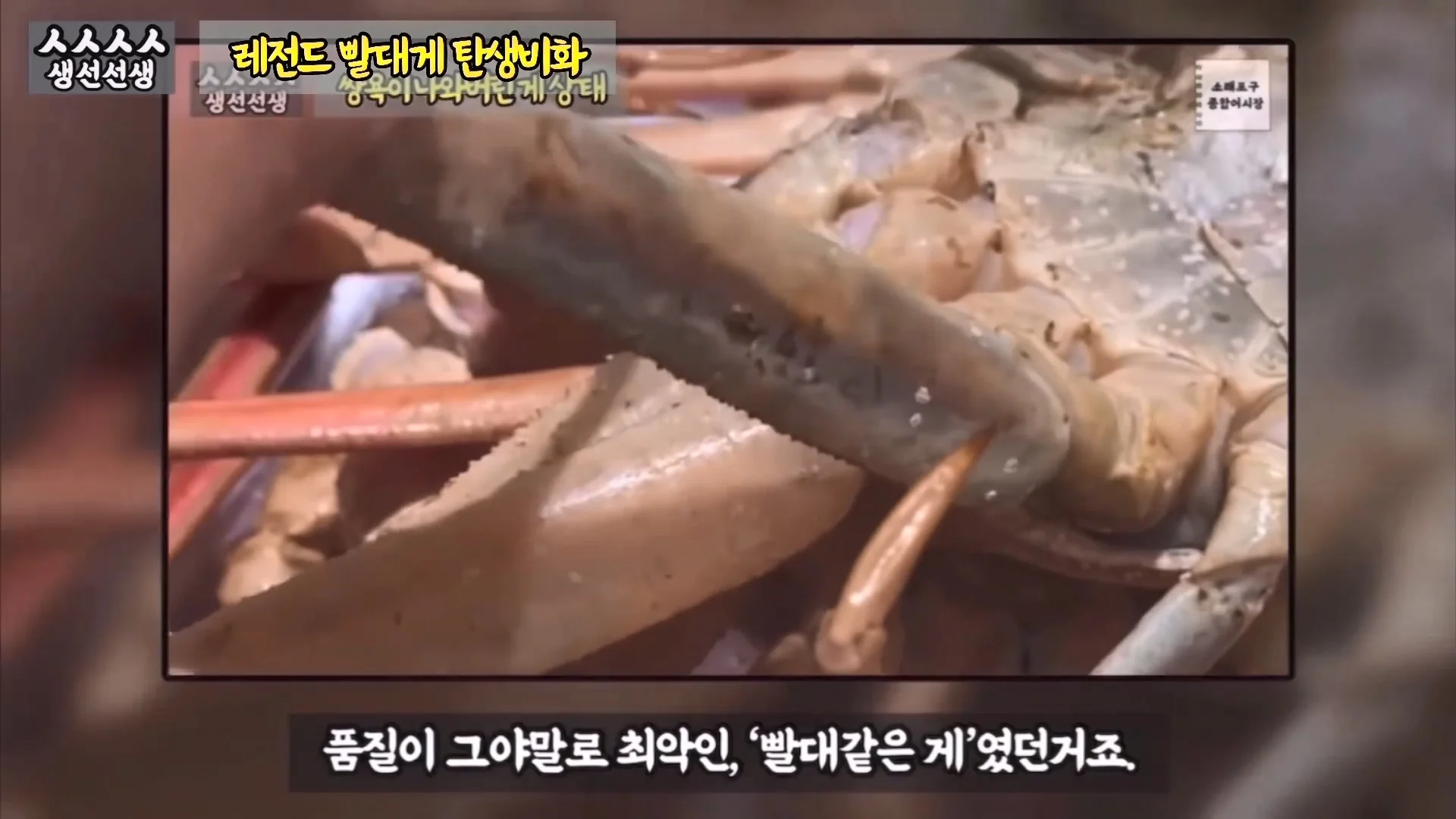 소래포구에 가게 차린 유튜버 근황 (2)