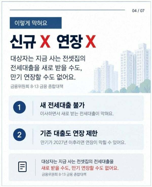 내년 1월부터 전세끼고 집사는거 금지 (3)