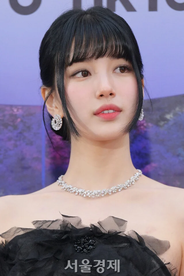 연예인도 소화하기 힘들다는 헤어스타일 (11)