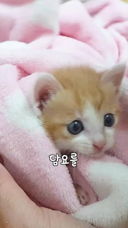 이정도 가입일에 90레벨이면 평범한건가요? (4)