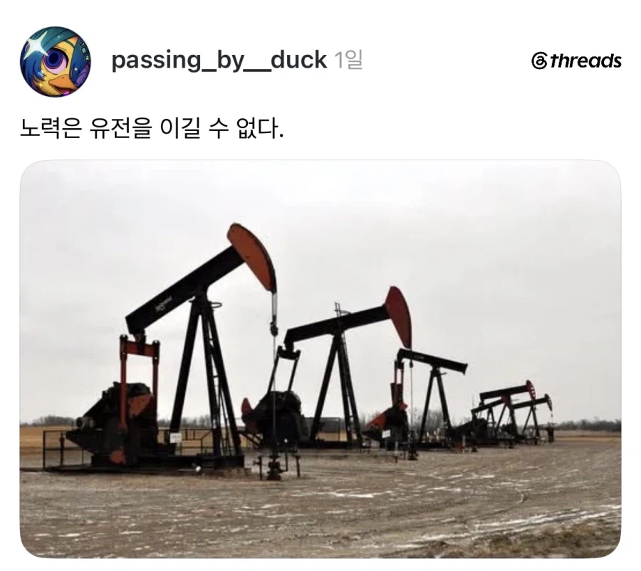 노력은 유전을 이길수없다