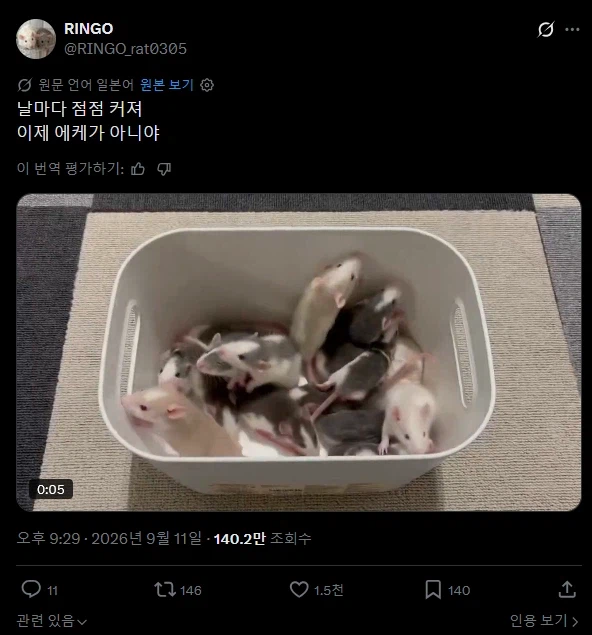 하루아침만에 쥐박이가 되어버린 일본인.twit