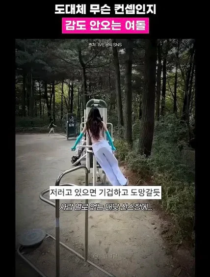 다른 아이돌 팬덤 긁는 리센느 일부 팬들 (13)