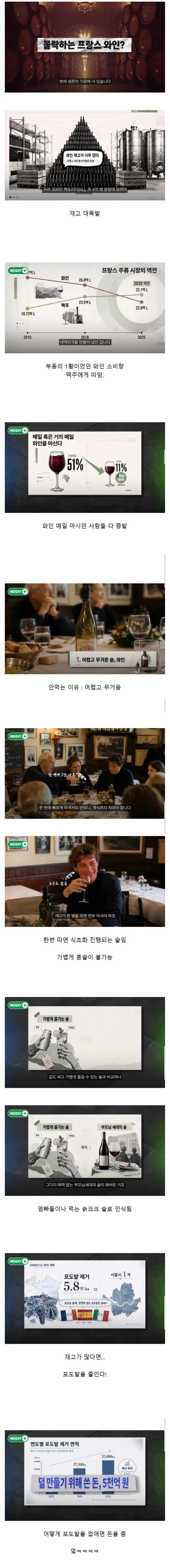 현재 몰락한다는 프랑스 와인 산업