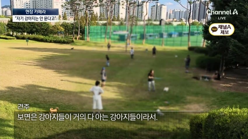 채널a) 단속원 퇴근하자...공원이 '개판' (30)