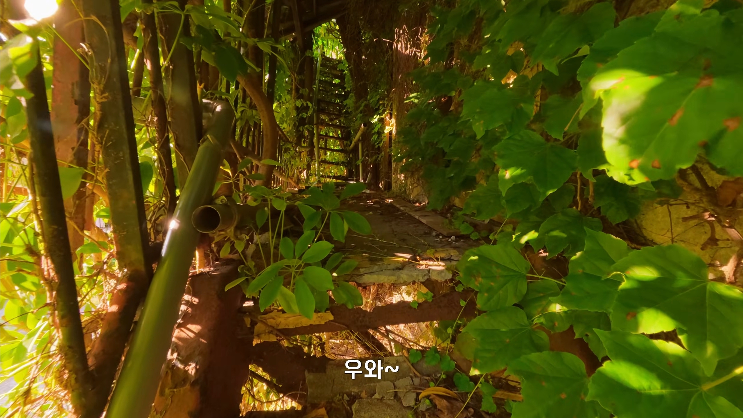 한국인에게 미안하다는 일본 할아버지 (5)