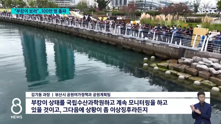 부캉이 보러... 결국 누적 100만명 돌파 (9)